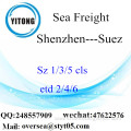 Shenzhen Port LCL Consolidation To Suez